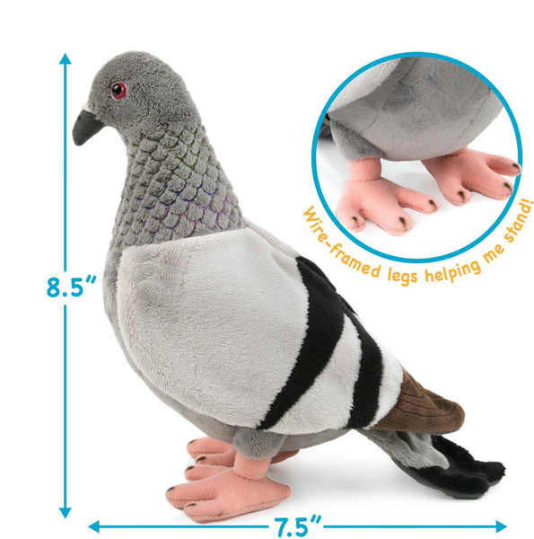 Pepper the pigeon