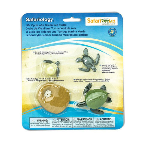 Safari Ltd. Life Cycle of a Green Sea Turtle