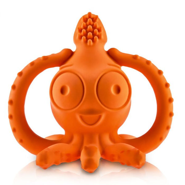 Caaocho Teething Toothbrush Sqwiddle the Squid